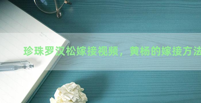 珍珠罗汉松嫁接视频，黄杨的嫁接方法和时间