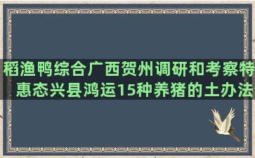 稻渔鸭综合广西贺州调研和考察特惠态兴县鸿运15种养猪的土办法